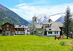 corta Macugnaga Pecetto