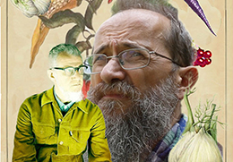 corta conciorto.vigezzo