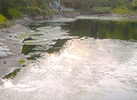 corta lago onzo inquinato