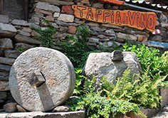 corta tappia di vino