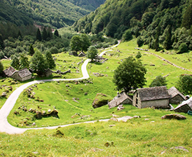 corta valle isorno