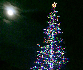 A San Domenico un albero di Natale da 30 metri visibile da tutta la valle