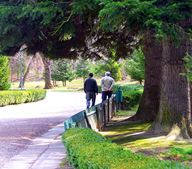 corta halzaimer premosello