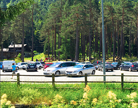 corta capanno pini posteggio vigezzo