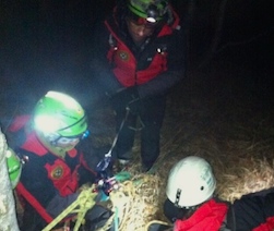 corta soccorso bosco