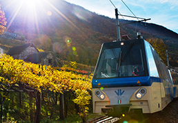 270.Vigezzina autunno 2010 8 low