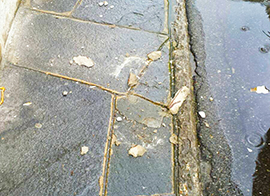 corta calcinacci marciapiede