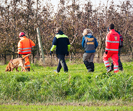 corta cane ricerche squadra vigna