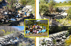 corta domosostenibile bicincitta confronto