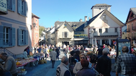 corta fuori zucca maggiore vigezzo