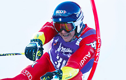 corta max blardone aggressivo paletto