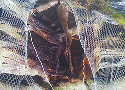 corta rete paramassi trasquera