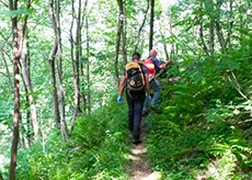corta soccorso bosco sentiero