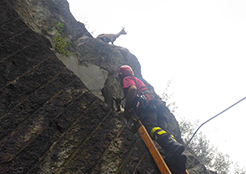 corta vigile fuoco capra