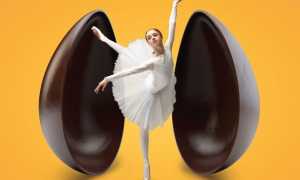 331261878 575243354552242 4629815736087961916 n