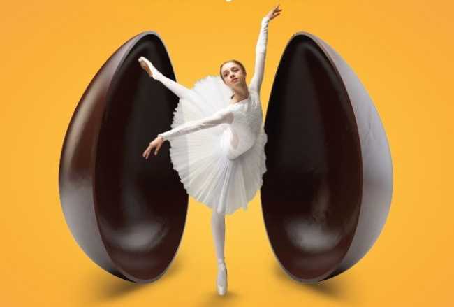 331261878 575243354552242 4629815736087961916 n