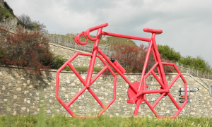 342830068 939154373891490 6595087731615346471 n