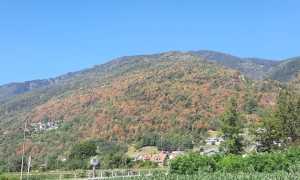 366331185 694274859383623 2616791731615943777 n