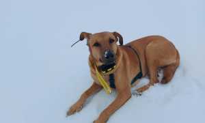 417684246 10232306846197974 2369431384519274960 n