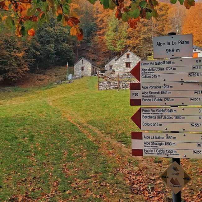 455926348 889582043217921 1513079680449203333 n