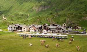 470200560 469643916152599 4965060661309323531 n