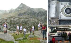 550140073 1186498476859608 9043179795013696634 n