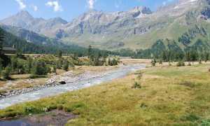Alpe Veglia view