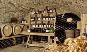 Cantina di Tappia Val dOssola Ossola in Cantina ph. Chimbo 3