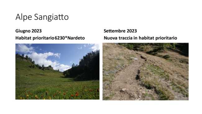 Foto Comunicato stampa