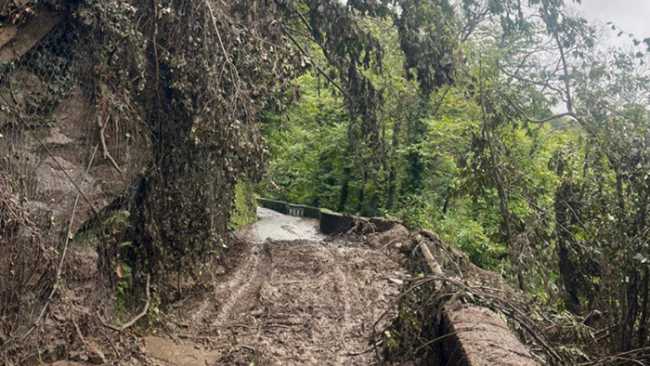 IMAGE 2025 08 28 200305