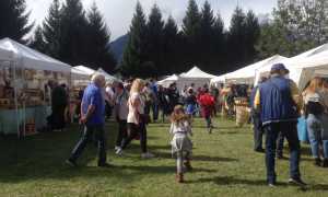 IMG 6769
