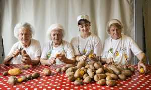 Montecrestese Sagra Patata 2023 1124 LR SUSY MEZZANOTTE