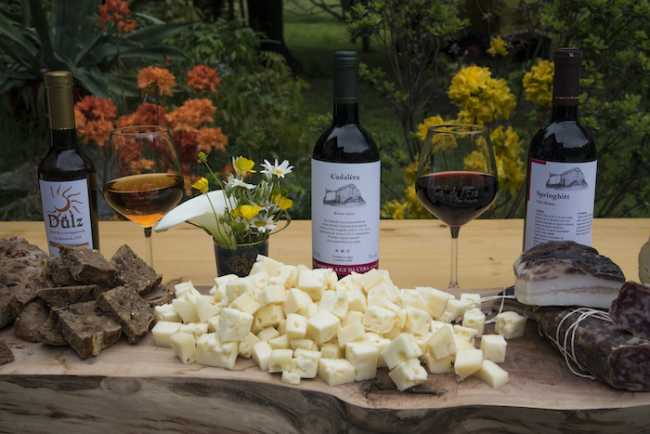 Ossola in Cantina ph. Simone Cappelli 11