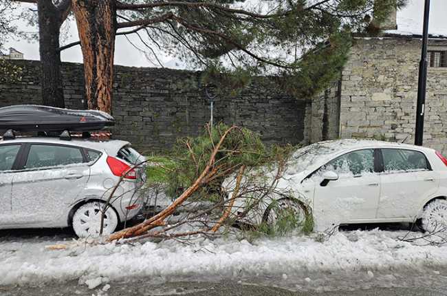 PHOTO 2024 03 10 16 05 30