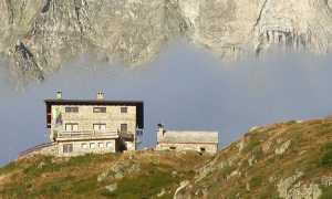 RifAndolla 1 924x1024