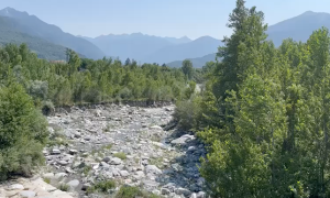 Schermata 2023 07 03 alle 08.29.24