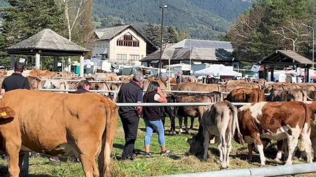 Schermata 2023 10 03 alle 09.24.46