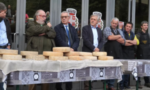 Schermata 2023 10 23 alle 09.50.36