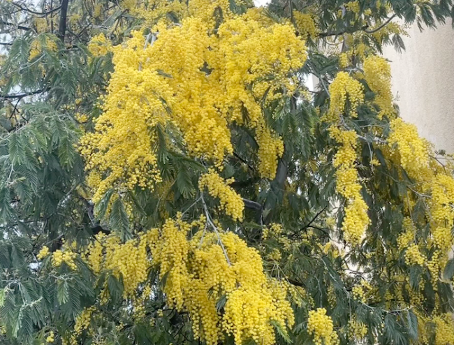 Schermata 2024 03 07 alle 20.23.36