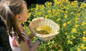 Schermata 2024 08 04 alle 11.09.00