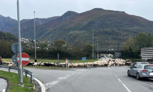 Schermata 2024 10 19 alle 13.40.22