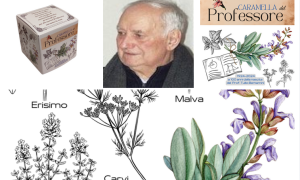 Schermata 2025 01 13 alle 10.10.12