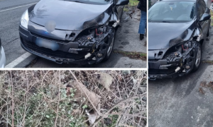 Schermata 2025 01 22 alle 09.52.00