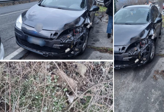 Schermata 2025 01 22 alle 09.52.00