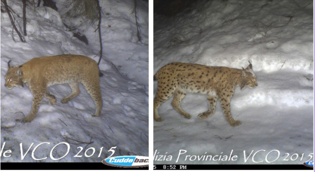 Schermata 2025 01 23 alle 15.42.20