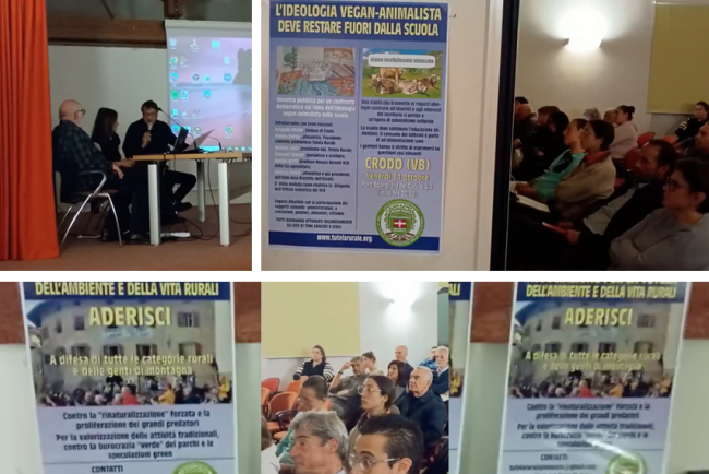 Schermata 2025 11 01 alle 10.09.33