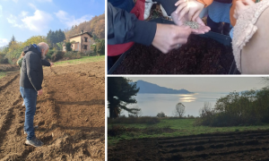 Schermata 2025 12 05 alle 16.52.31