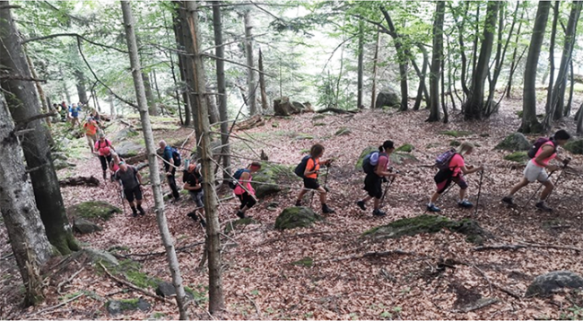 Screenshot 2024 07 14 alle 08.50.56