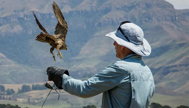 Screenshot 2025 08 10 alle 09.48.55