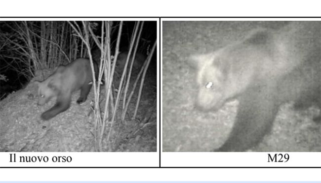 Screenshot 2025 08 28 alle 19.27.00